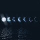 Moonlight Single