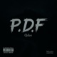P D F Single