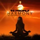 Harmony Incl Vegas Remix Single