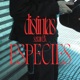DISTINTAS ESPECIES Single