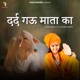 Dard Gau Mata Ka feat Vk Belarkha Single