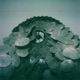 Silencer EP