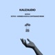 Estico Remixes Single