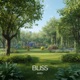 Bliss Single