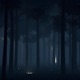Nocturnal Single