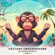 Culture Underground Nedisco Remix Single