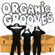Organic Grooves 4 Live in Nyc