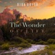 The Wonder of Life Single