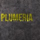 Plumeria 2024 Remaster Single