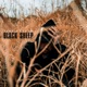 Black Sheep EP