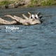 Дерево Single
