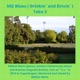 502 Blues Drinkin and Drivin Take 3 Live Single