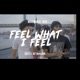 Feel What I Feel feat Jayy Skylark Single