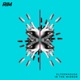 In the Mirror Single