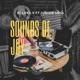 SOUNDS of JOY Radio Edit feat Junior Soul Single