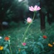 Follow Your Bliss Single