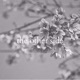 The Other Side Single