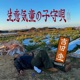 Namaikiwappanokomoriuta Single