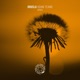 Drusla Single