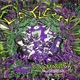LayLow feat Ego Mackey Single
