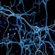 Interneurons EP