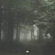 Slow River Single