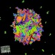 Anxiety Fungi Single