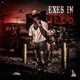 Exes In Texas Radio Edit Single
