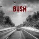 BUSH feat bino bars Single