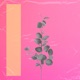 Calm Single