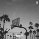 Californication Single