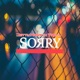 Sorry Single