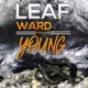Young and Reckless Single