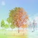 Seasons Single