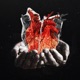 Haven Single