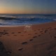 The Wav Episode 01 DJ Mix