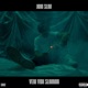 Veni Vidi Slimmin feat IGC Single