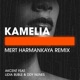 Kamelia feat Lidia Buble DDY Nunes Mert Harmankaya Remix Single