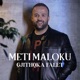 Gjithqka Faket Single