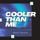 Cooler Than Me Single