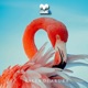 Salsa Di Aruba Single