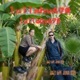 lullaby 678 Single