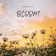 Bloom Single