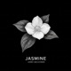 Jasmine feat Dvorkin Single