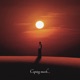 Coping Mech feat Sawn Temple Single
