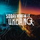 Sobrevivente urbano Single