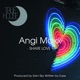 Share Love feat Angi Maxx Single