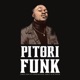 Pitori Funk Single