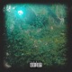 green garden Single