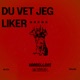 Du Vet Jeg Liker Ali G s Single